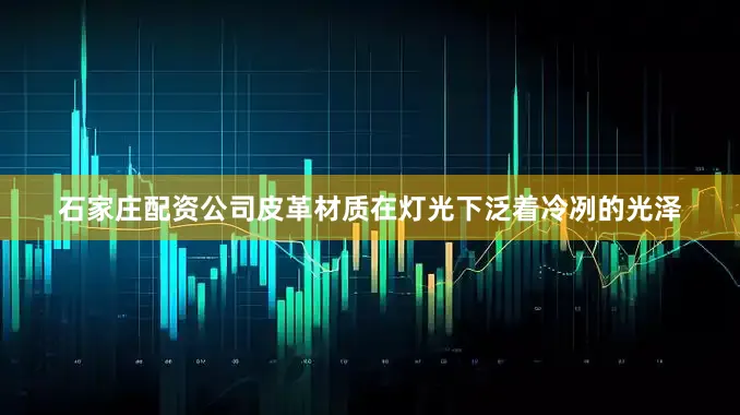 石家庄配资公司皮革材质在灯光下泛着冷冽的光泽