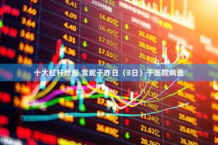 十大杠杆炒股 雪妮于昨日（3日）于医院病逝